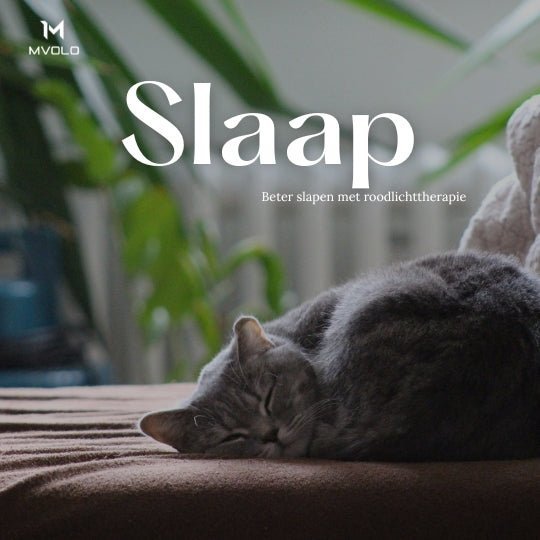 Het Belang van Slaap en de Rol van Roodlichttherapie
