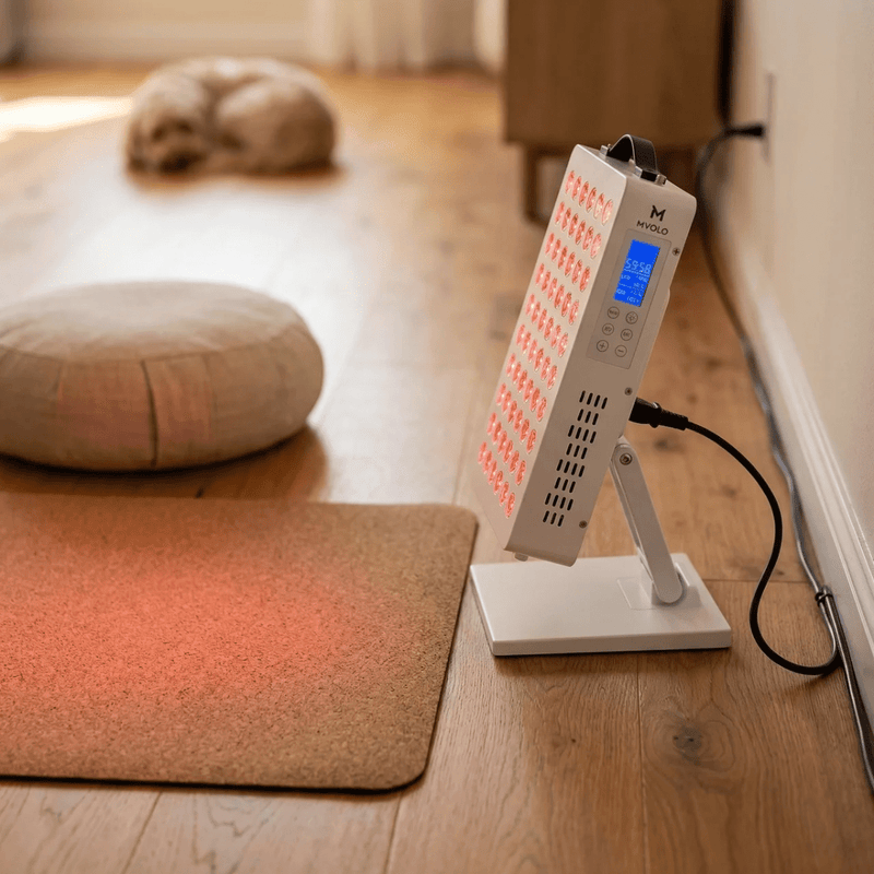 Elite Series 306 - Mvolo